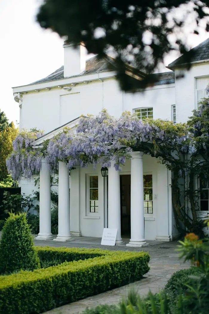 Beautiful English mansion entrance adorned with blooming wisteria and classic columns.